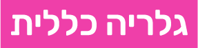 גלריה כללית